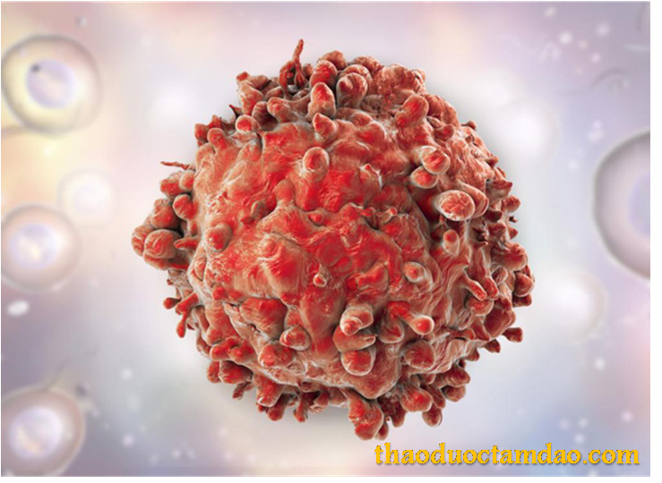 ĐTHT ngăn chặn sự phát triển của tế bào ung thư
